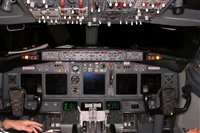 ©La Roche Spotters. Click to see full size photo ©La Roche Spotters. Click to see full size photo