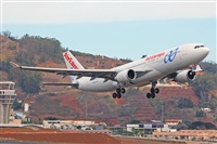 Miguel A. gueda Rguez.  (CANARY ISLANDS SPOTTING). Haz click para ampliar
