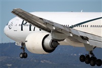 Rodrigo Carvalho - Noisy Spotters. Click to see full size photo