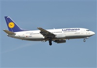 Rubn Gil - Noisy Spotters. Click to see full size photo