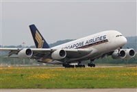Rodrigo Carvalho - Noisy Spotters. Click to see full size photo