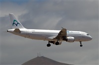 Javier de la Cruz - CANARY ISLANDS SPOTTING. Click to see full size photo