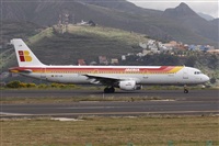 ©Alfonso Solís - Asociación Canary Islands Spotting. Click to see full size photo ©Alfonso Solís - Asociación Canary Islands Spotting. Click to see full size photo