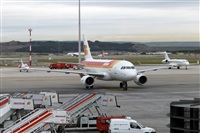 Nacho Rodriguez - Canary Islands Spotting. Click to see full size photo