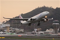Javier de la Cruz - CANARY ISLANDS SPOTTING. Click to see full size photo