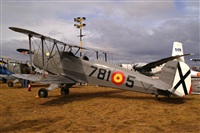 H.volar. Click to see full size photo