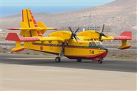 JF Alemn-GranCanariaSpotters. Click to see full size photo