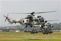©Dr. Alejandro Hndez. Spotters Mexico City. Click to see full size photo ©Dr. Alejandro Hndez. Spotters Mexico City. Click to see full size photo