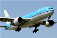 Rodrigo Carvalho - Noisy Spotters. Click to see full size photo