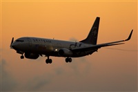 Javier de la Cruz - CANARY ISLANDS SPOTTING. Haz click para ampliar