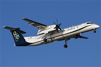 Rodrigo Carvalho - Noisy Spotters. Click to see full size photo