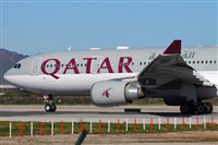 Miguel Alia - Noisy Spotters. Click to see full size photo