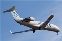 Saimon J Rodriguez   -   Canary Islands Spotting. Click to see full size photo