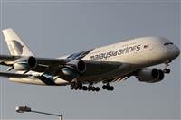 Rubn Gil - Noisy Spotters. Click to see full size photo