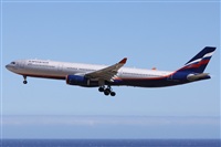 ©Alfonso Solís - Asociación Canary Islands Spotting. Click to see full size photo ©Alfonso Solís - Asociación Canary Islands Spotting. Click to see full size photo