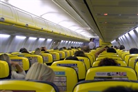 Javier de la Cruz - CANARY ISLANDS SPOTTING. Click to see full size photo