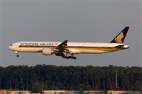 Javier de la Cruz - CANARY ISLANDS SPOTTING. Click to see full size photo