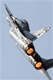 Jorge Guardia Aguila. Click to see full size photo