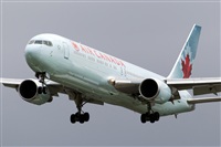 Javier de la Cruz - CANARY ISLANDS SPOTTING. Click to see full size photo