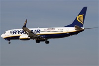 Rubn Gil - Noisy Spotters. Click to see full size photo