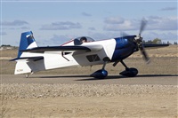 H.volar. Click to see full size photo