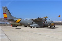 Adolfo Bento - Gran Canaria Spotters. Click to see full size photo