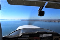Marcos S.. Click to see full size photo