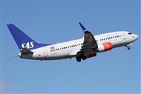Alfonso Sols - Asociacin Canary Islands Spotting. Haz click para ampliar