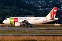 Javier de la Cruz - CANARY ISLANDS SPOTTING. Click to see full size photo
