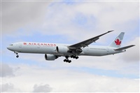 Miguel A. gueda Rguez.  (CANARY ISLANDS SPOTTING). Click to see full size photo