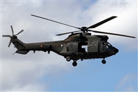 Adrin Alonso Lemes - Lanzarote Spotters. Click to see full size photo