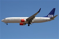 Alfonso Sols - Asociacin Canary Islands Spotting. Click to see full size photo