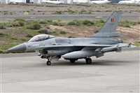©Alfonso Solís - Asociación Canary Islands Spotting. Click to see full size photo ©Alfonso Solís - Asociación Canary Islands Spotting. Click to see full size photo