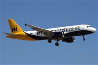 ©Alfonso Solís - Asociación Canary Islands Spotting. Click to see full size photo ©Alfonso Solís - Asociación Canary Islands Spotting. Click to see full size photo