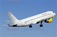 ©Saimon J Rodriguez - Canary Islands Spotting. Click to see full size photo ©Saimon J Rodriguez - Canary Islands Spotting. Click to see full size photo