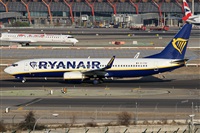 Alfonso Sols - Asociacin Canary Islands Spotting. Haz click para ampliar