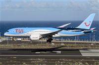©Luis Rguez - La Palma Spotting. Click to see full size photo ©Luis Rguez - La Palma Spotting. Click to see full size photo