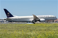 ©Adolfo Bento - Gran Canaria Spotters. Click to see full size photo ©Adolfo Bento - Gran Canaria Spotters. Click to see full size photo