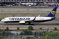 Alfonso Sols - Asociacin Canary Islands Spotting. Haz click para ampliar