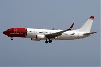 Alfonso Sols - Asociacin Canary Islands Spotting. Click to see full size photo