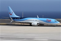 Alfonso Sols - Asociacin Canary Islands Spotting. Haz click para ampliar