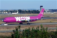 Miguel A. gueda Rguez.  (CANARY ISLANDS SPOTTING). Click to see full size photo