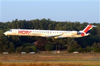Miguel A. gueda Rguez.  (CANARY ISLANDS SPOTTING). Click to see full size photo