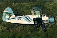 Tams. Click to see full size photo
