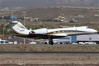Alfonso Sols - Asociacin Canary Islands Spotting. Click to see full size photo