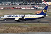 Alfonso Sols - Asociacin Canary Islands Spotting. Haz click para ampliar