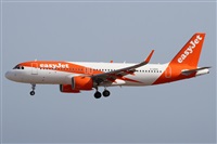 Alfonso Sols - Asociacin Canary Islands Spotting. Click to see full size photo