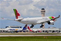 Miguel A. gueda Rguez.  (CANARY ISLANDS SPOTTING). Click to see full size photo
