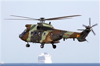 Adrin Alonso Lemes - Lanzarote Spotters. Click to see full size photo