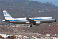 ©J. Victor Vega-Gran Canaria Spotters. Click to see full size photo ©J. Victor Vega-Gran Canaria Spotters. Click to see full size photo